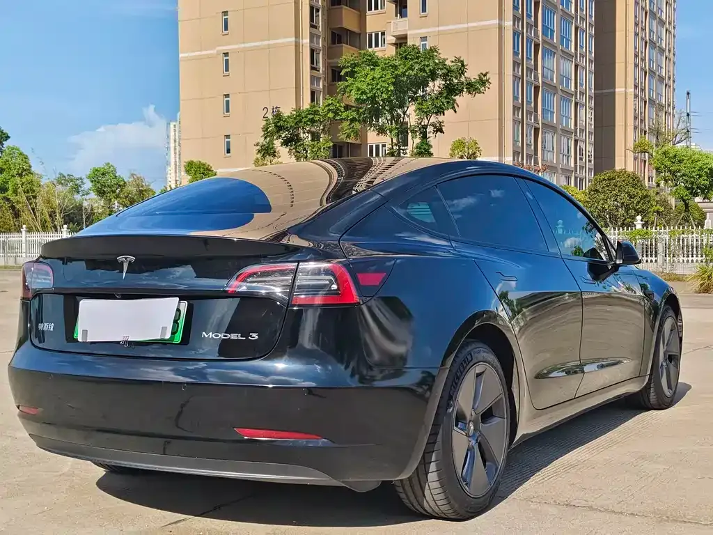 Tesla Model 3 2021 из CN, фото 5