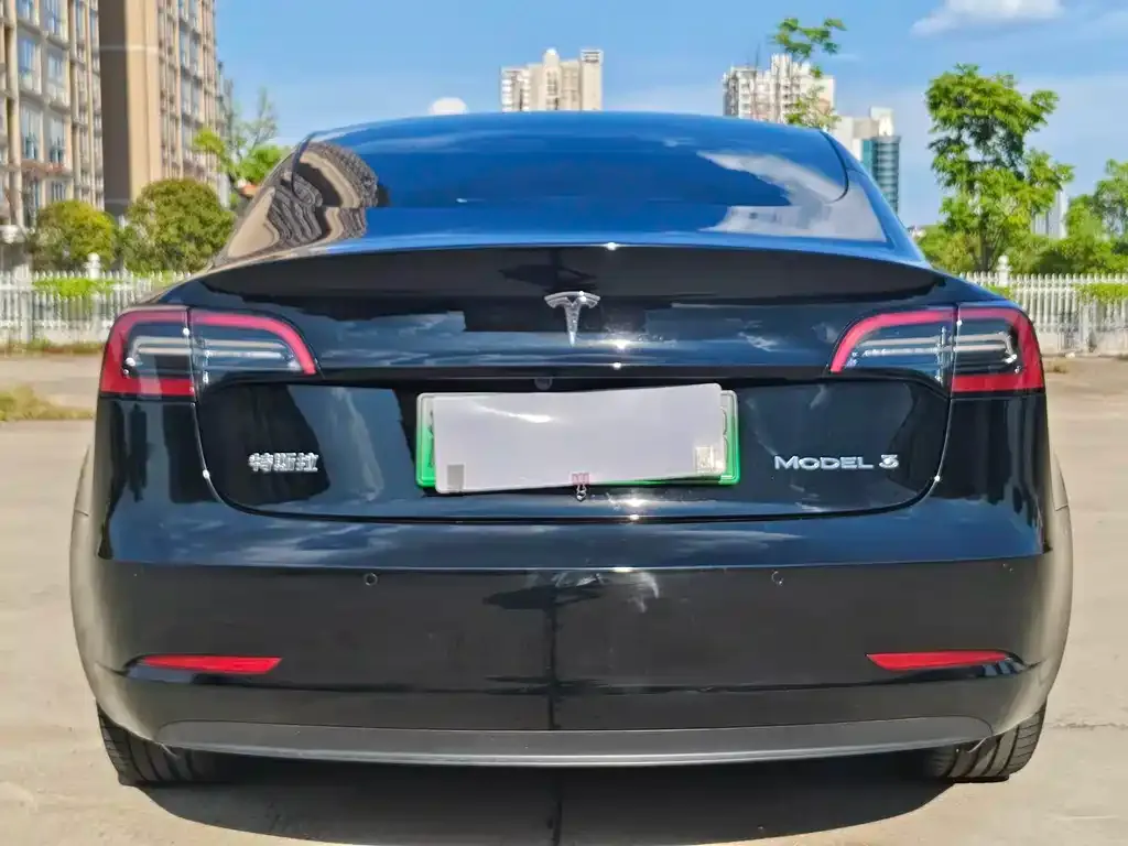 Tesla Model 3 2021 из CN, фото 6