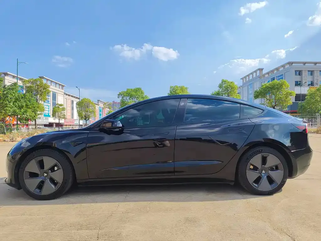 Tesla Model 3 2021 из CN, фото 7