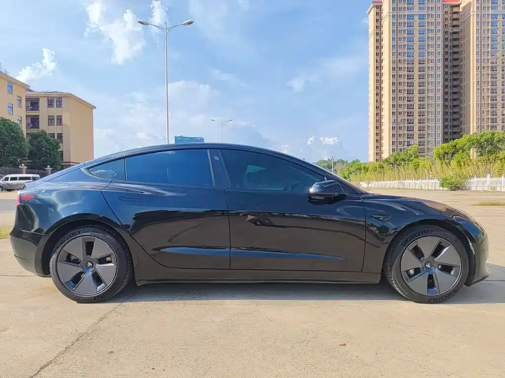 Tesla Model 3 2021 из CN, фото 8