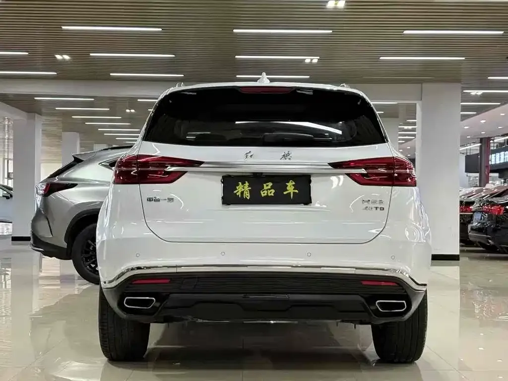 Hongqi HS5 2022 из CN, фото 8
