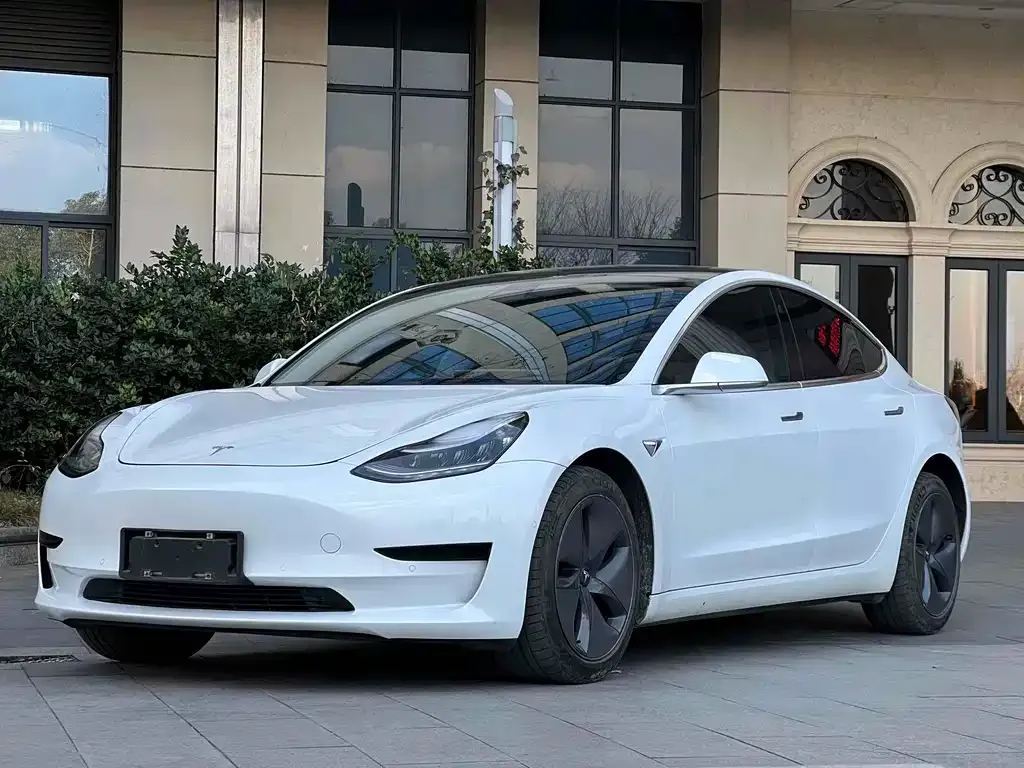 Tesla Model 3 2021 из CN, фото 1