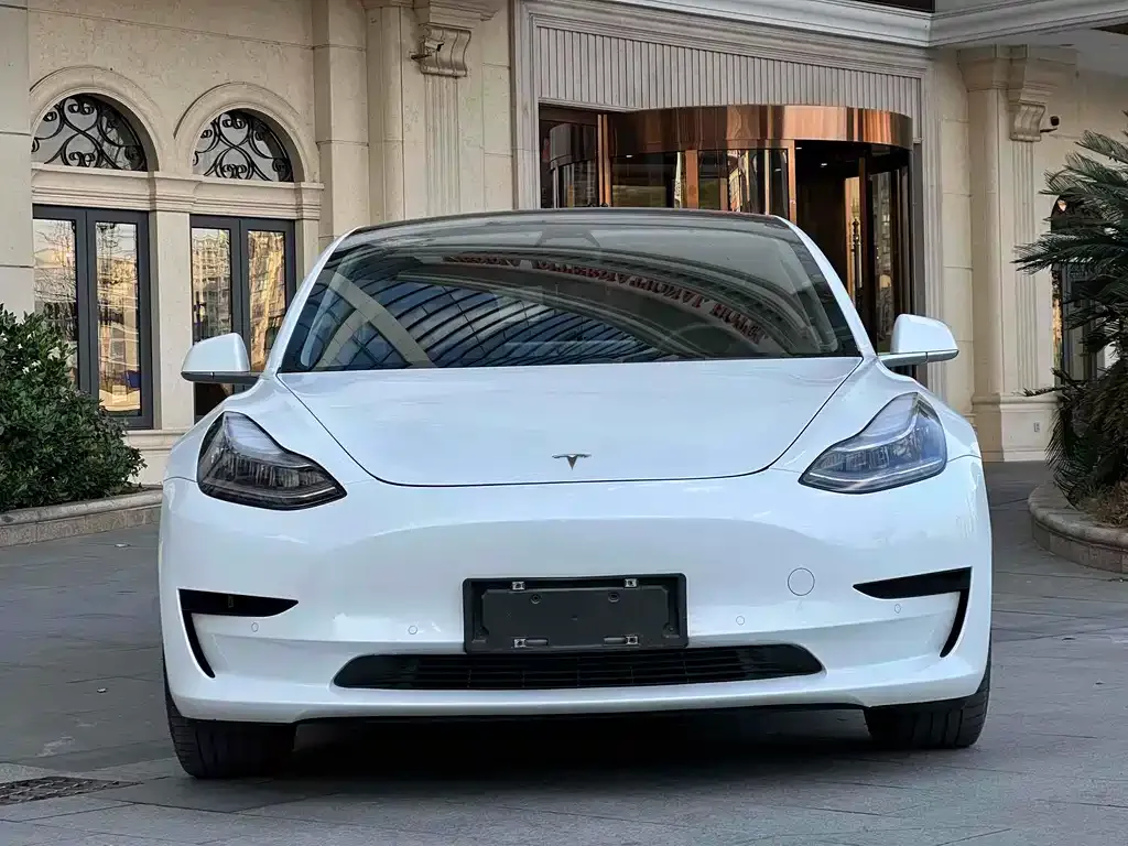 Tesla Model 3 2021 из CN, фото 2