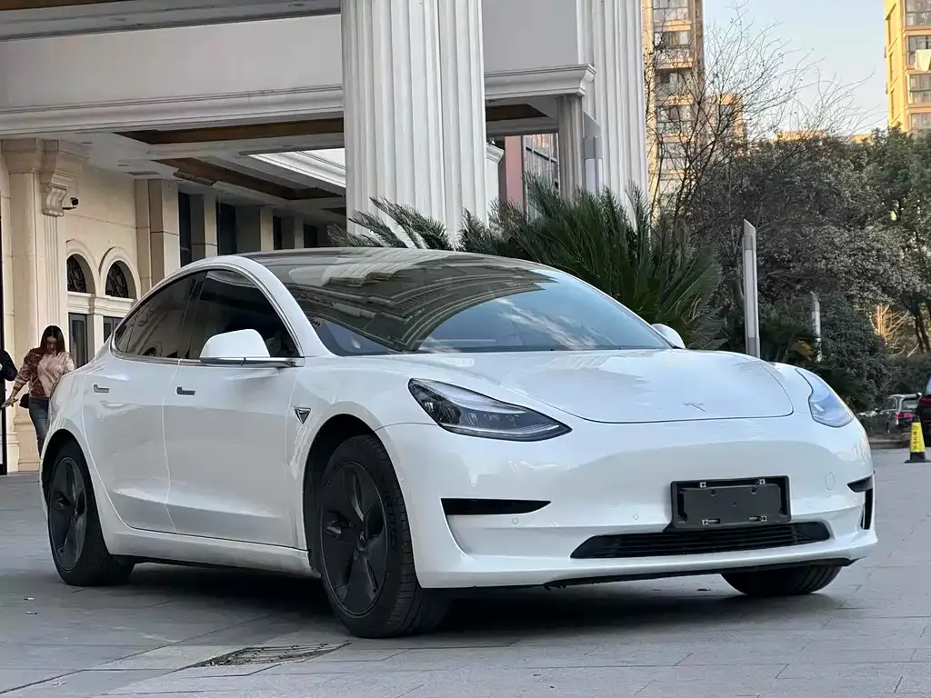 Tesla Model 3 2021 из CN, фото 3