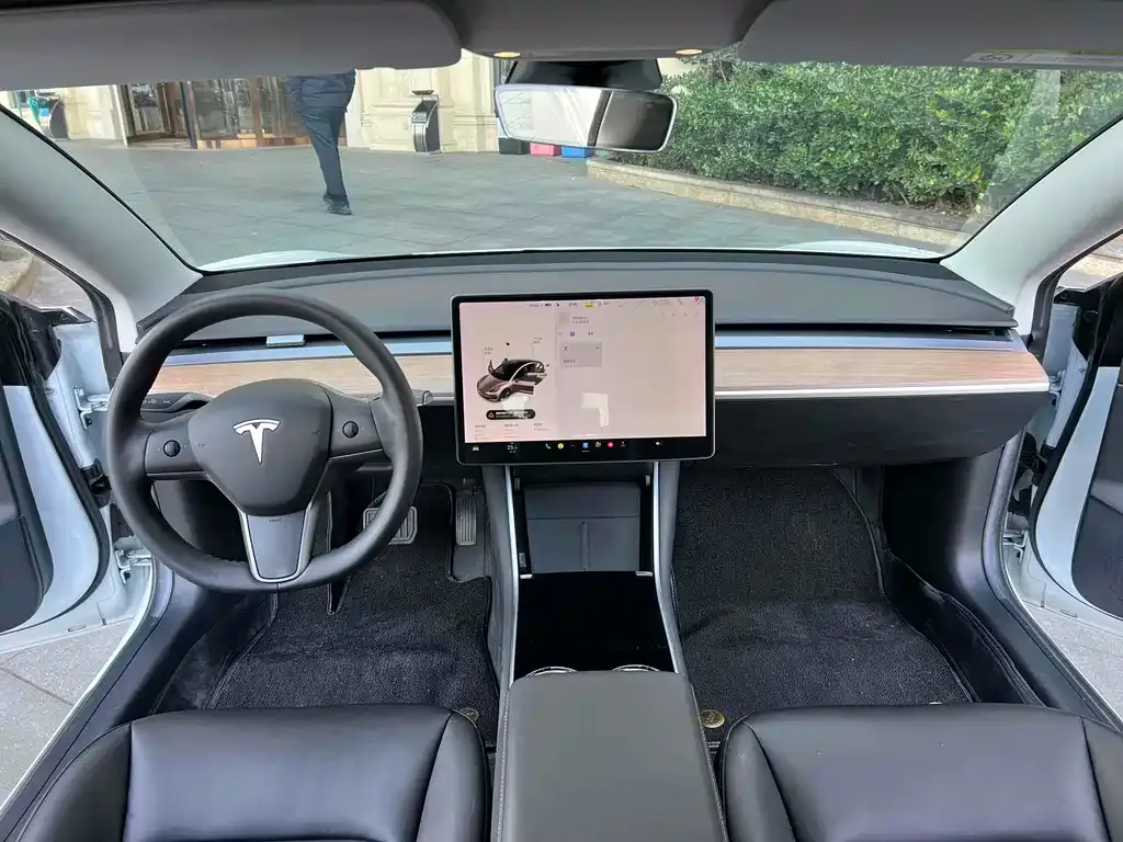 Tesla Model 3 2021 из CN, фото 4
