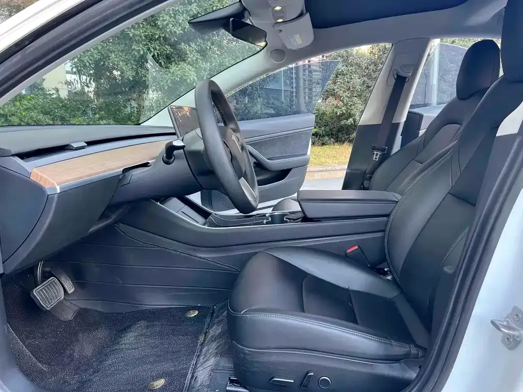 Tesla Model 3 2021 из CN, фото 5