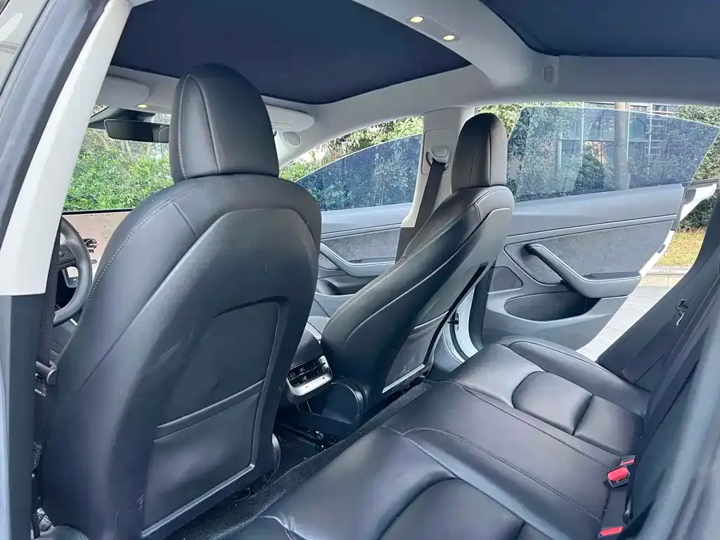 Tesla Model 3 2021 из CN, фото 6