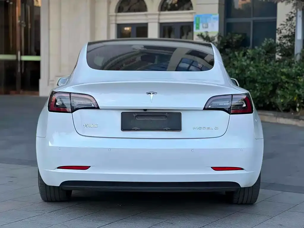 Tesla Model 3 2021 из CN, фото 9