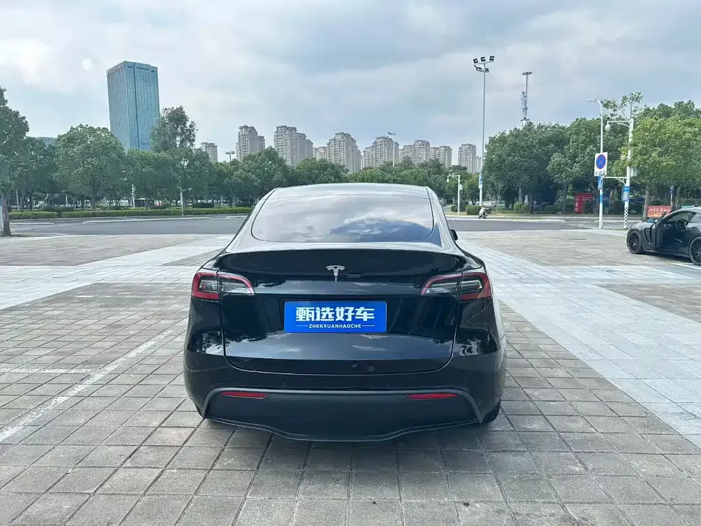 Tesla Model Y 2023 из CN, фото 8