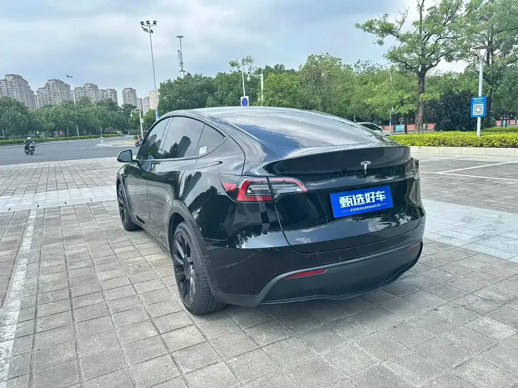 Tesla Model Y 2023 из CN, фото 9