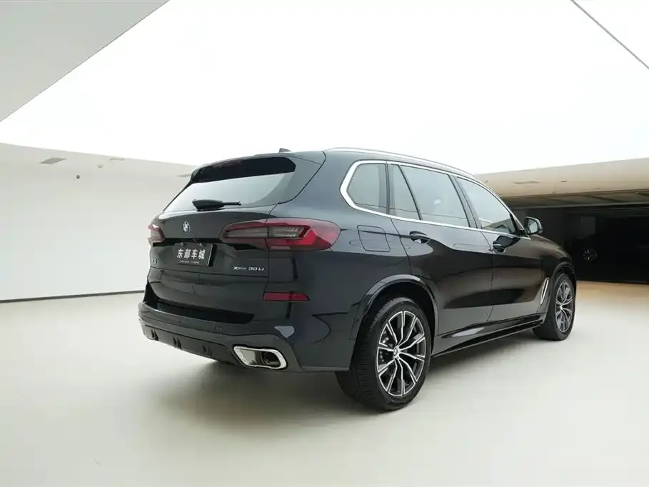 BMW X5 2023 из CN, фото 6