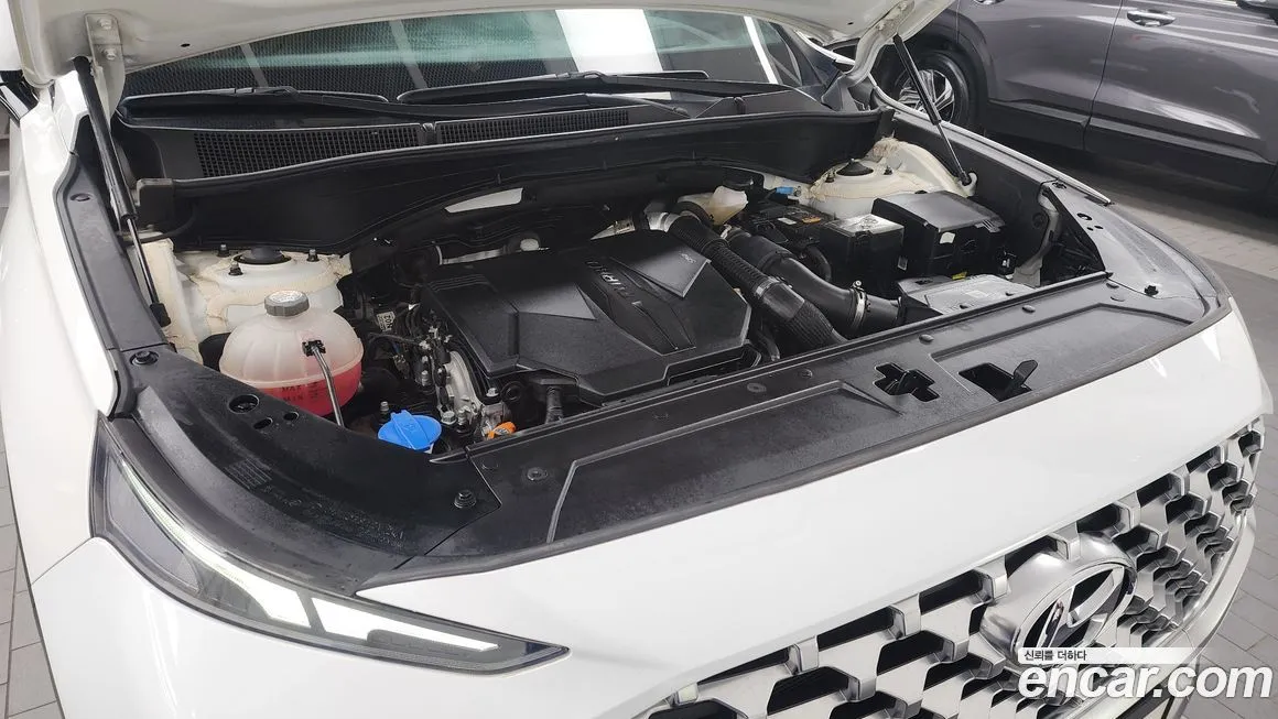 Hyundai Santafe 2021 из KR, фото 6
