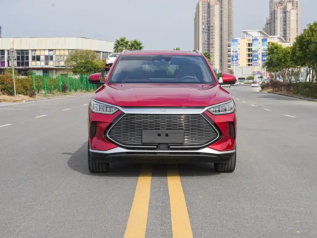 BYD PLUS New Energy 2022 из CN, фото 2