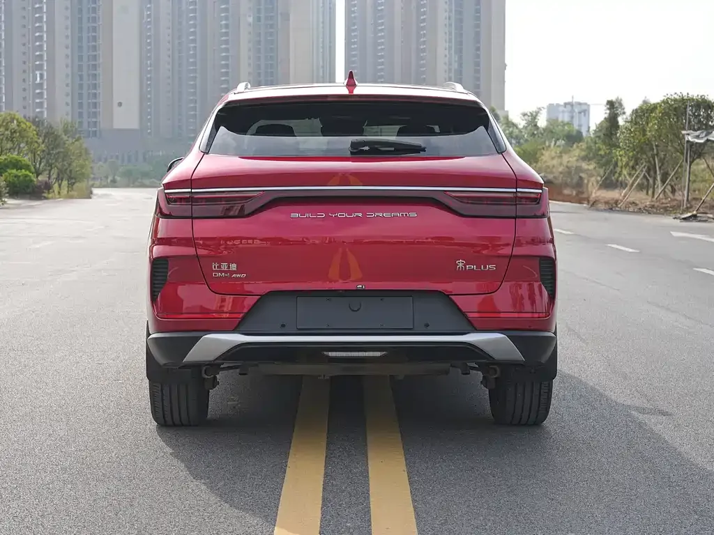 BYD PLUS New Energy 2022 из CN, фото 8