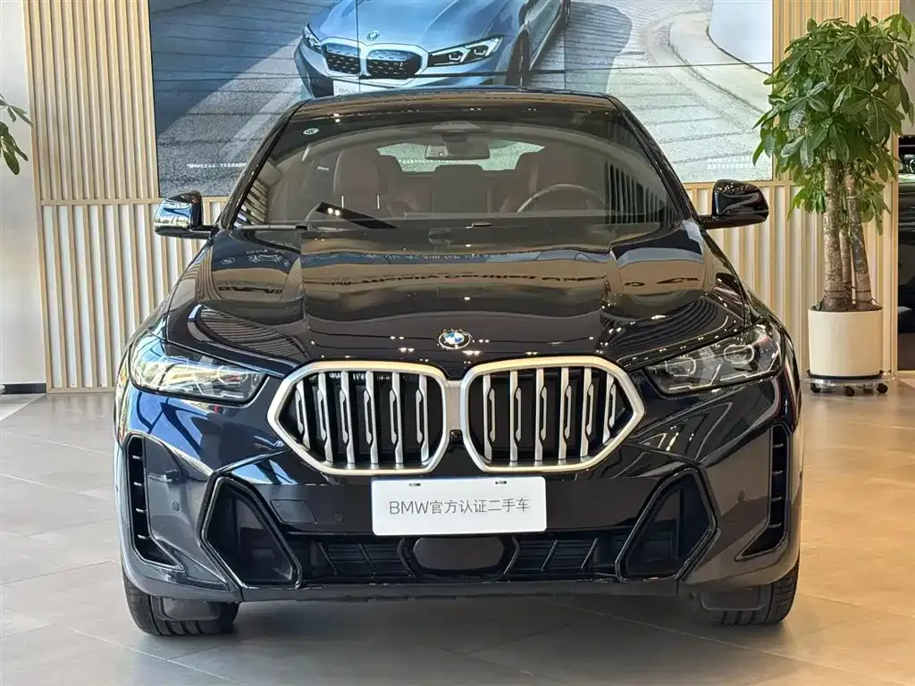 BMW X6 2024 из CN, фото 3