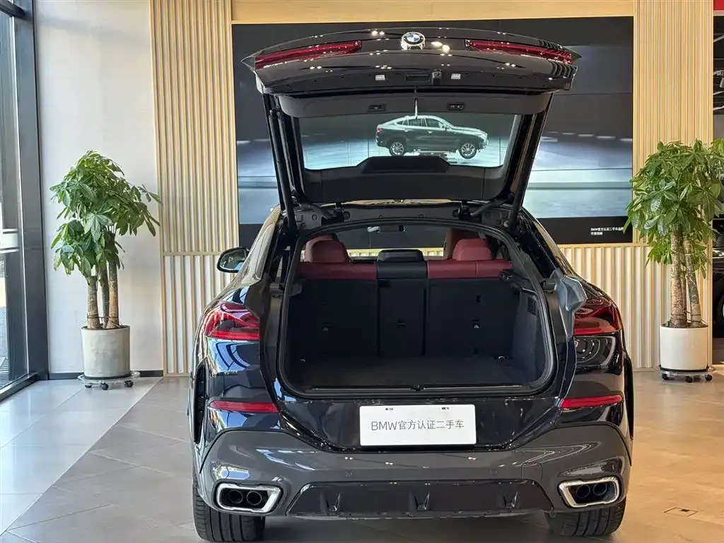 BMW X6 2024 из CN, фото 6