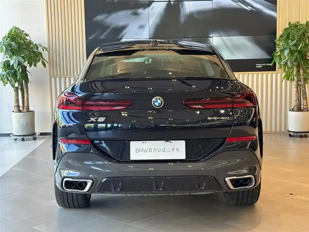 BMW X6 2024 из CN, фото 8