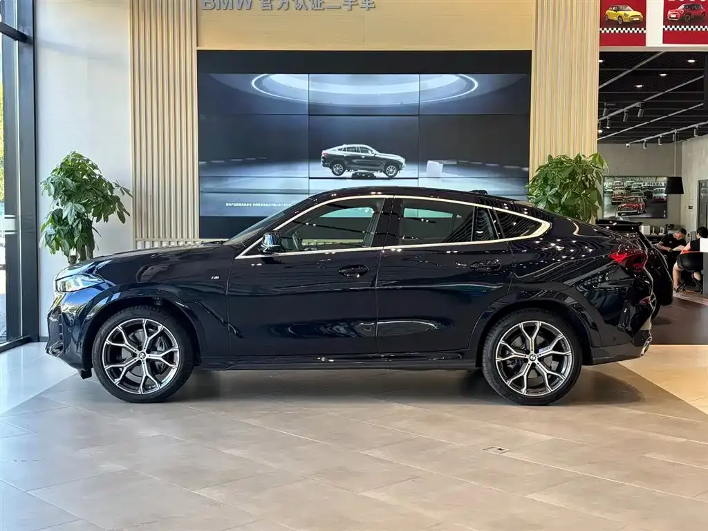 BMW X6 2024 из CN, фото 9