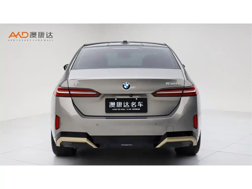 BMW 5 Series 2024 из CN, фото 4