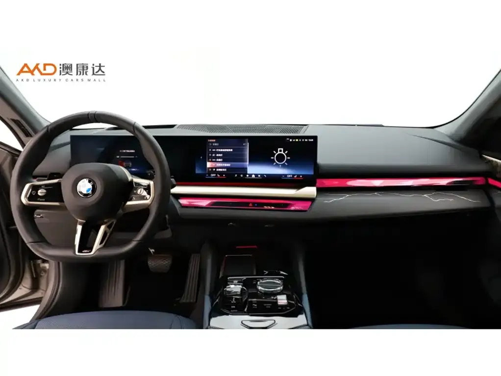BMW 5 Series 2024 из CN, фото 5