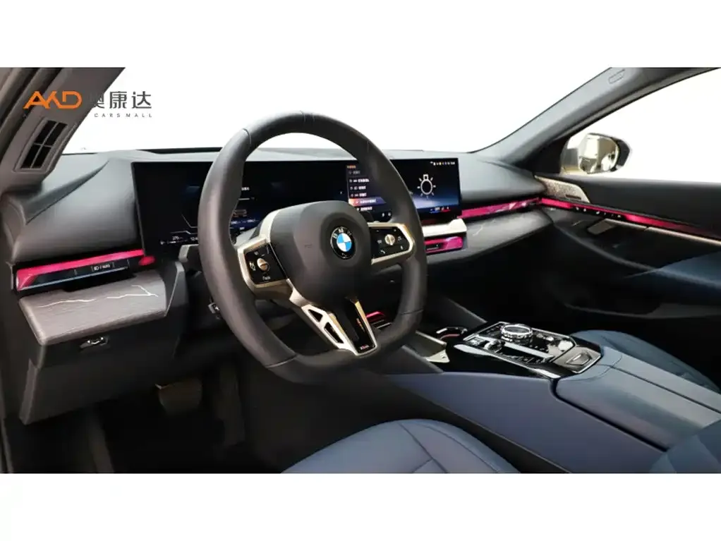 BMW 5 Series 2024 из CN, фото 6