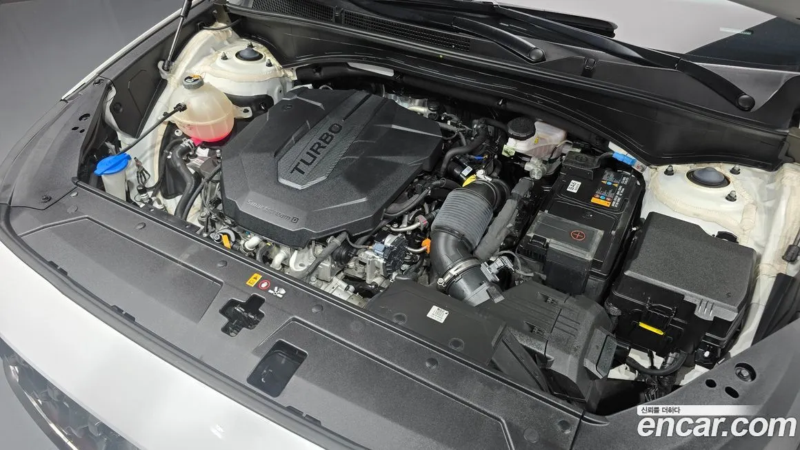 Hyundai Santafe 2022 из KR, фото 6
