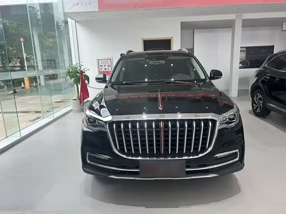 Hongqi HS7 2022 из CN, фото 7
