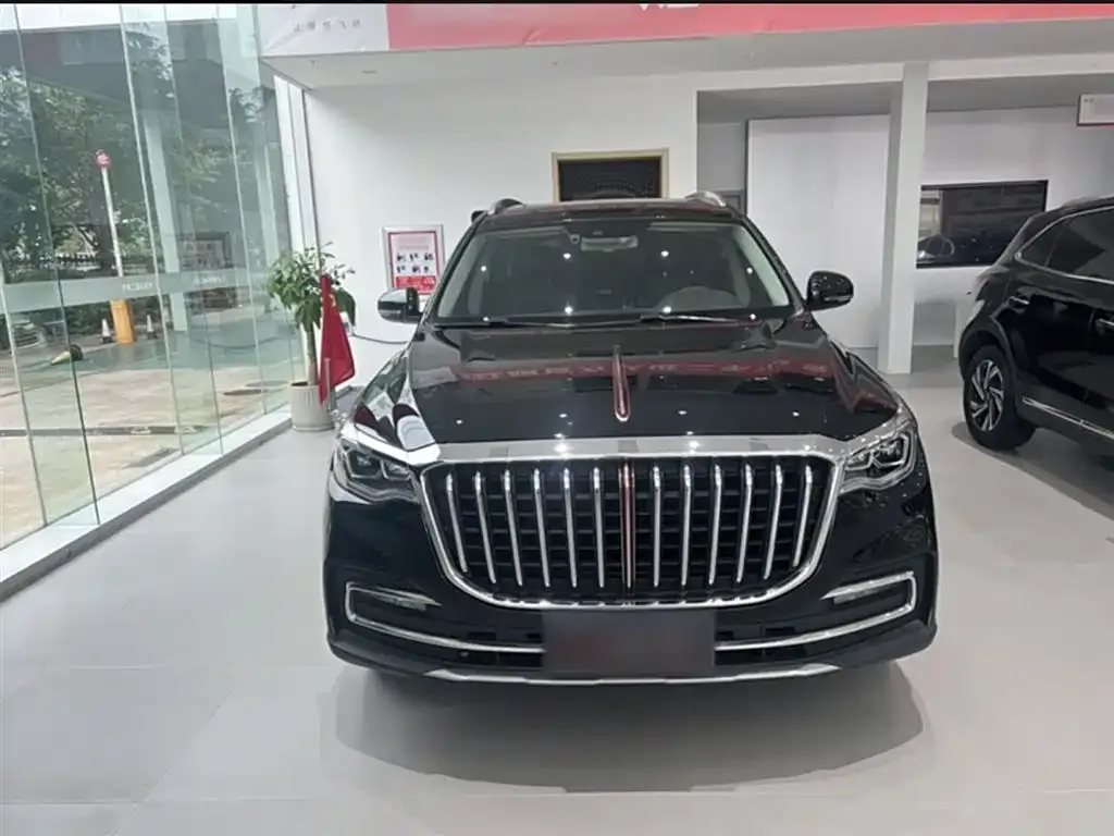Hongqi HS7 2022 из CN, фото 9