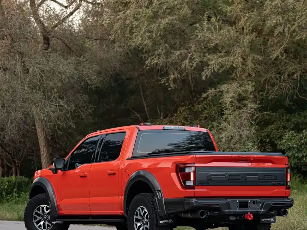 Ford F-150 Raptor 2023 из CN, фото 6
