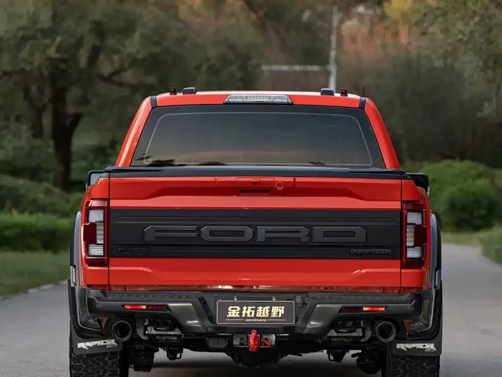 Ford F-150 Raptor 2023 из CN, фото 8
