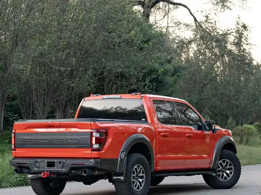 Ford F-150 Raptor 2023 из CN, фото 9