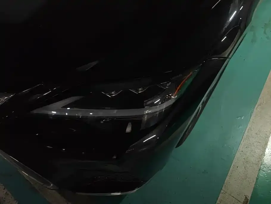 Lexus LS 2021 из CN, фото 5