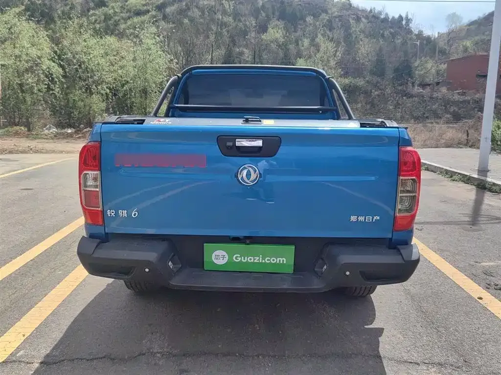 Dongfeng Rich 6 2021 из CN, фото 6