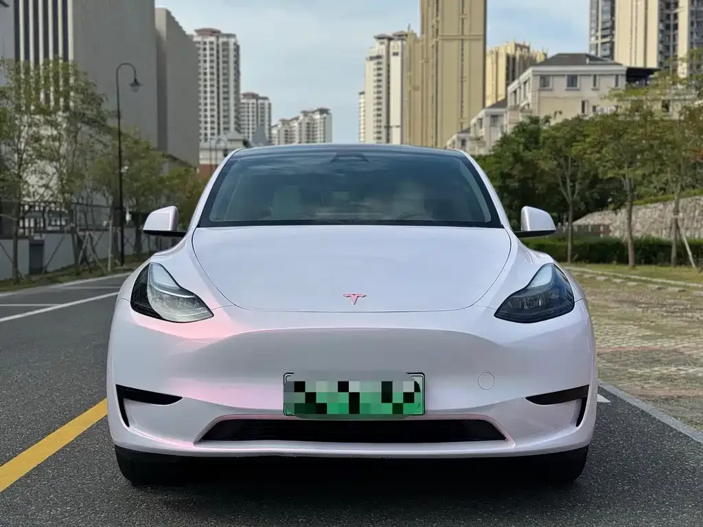 Tesla Model Y — фото 2