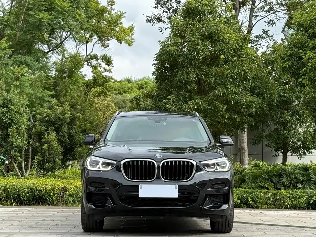 BMW X3 2021 из CN, фото 2