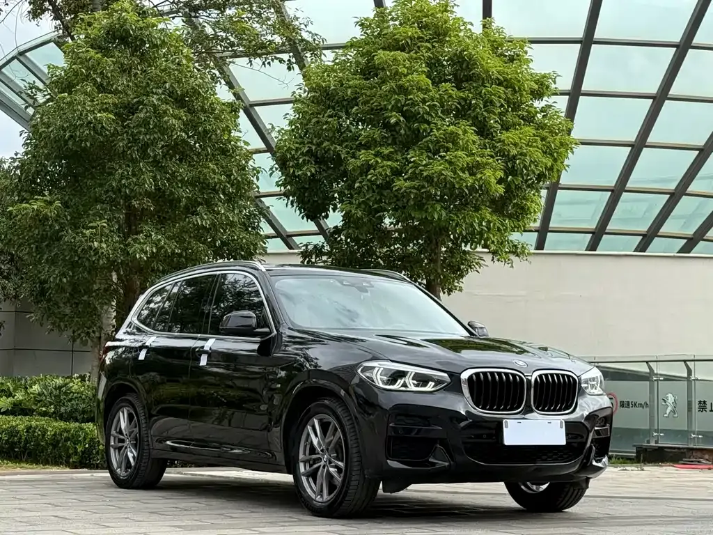 BMW X3 2021 из CN, фото 3