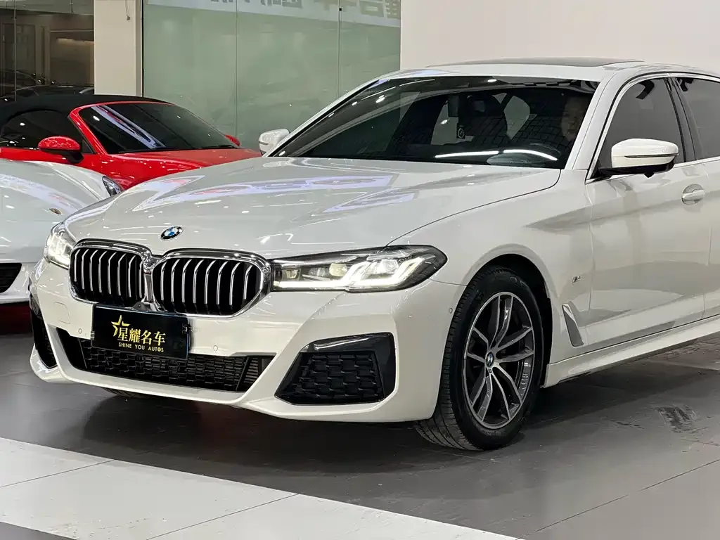 BMW 5 Series 2021 из CN, фото 4