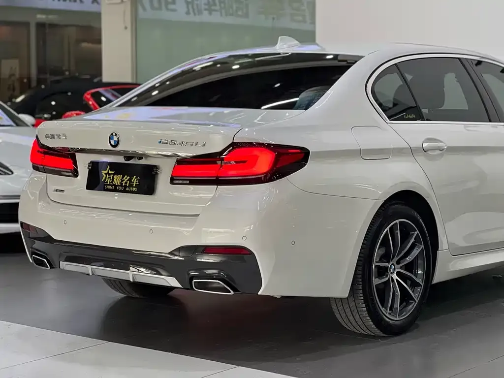 BMW 5 Series 2021 из CN, фото 9