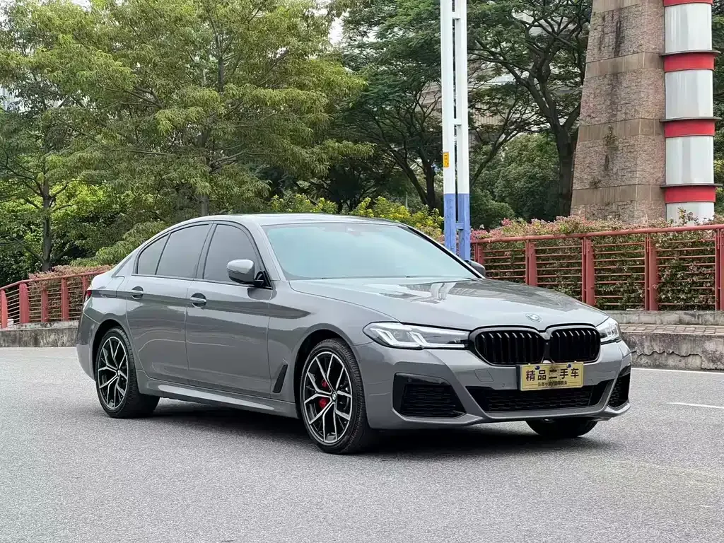 BMW 5 Series (Import) — фото 3