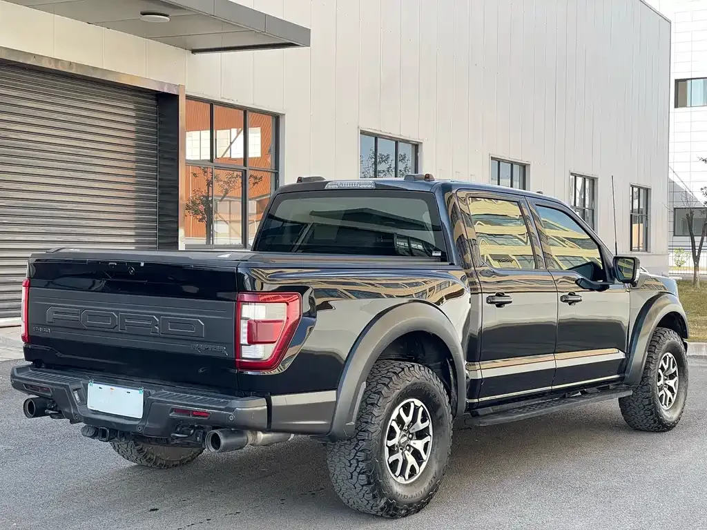 Ford F-150 Raptor 2024 из CN, фото 5