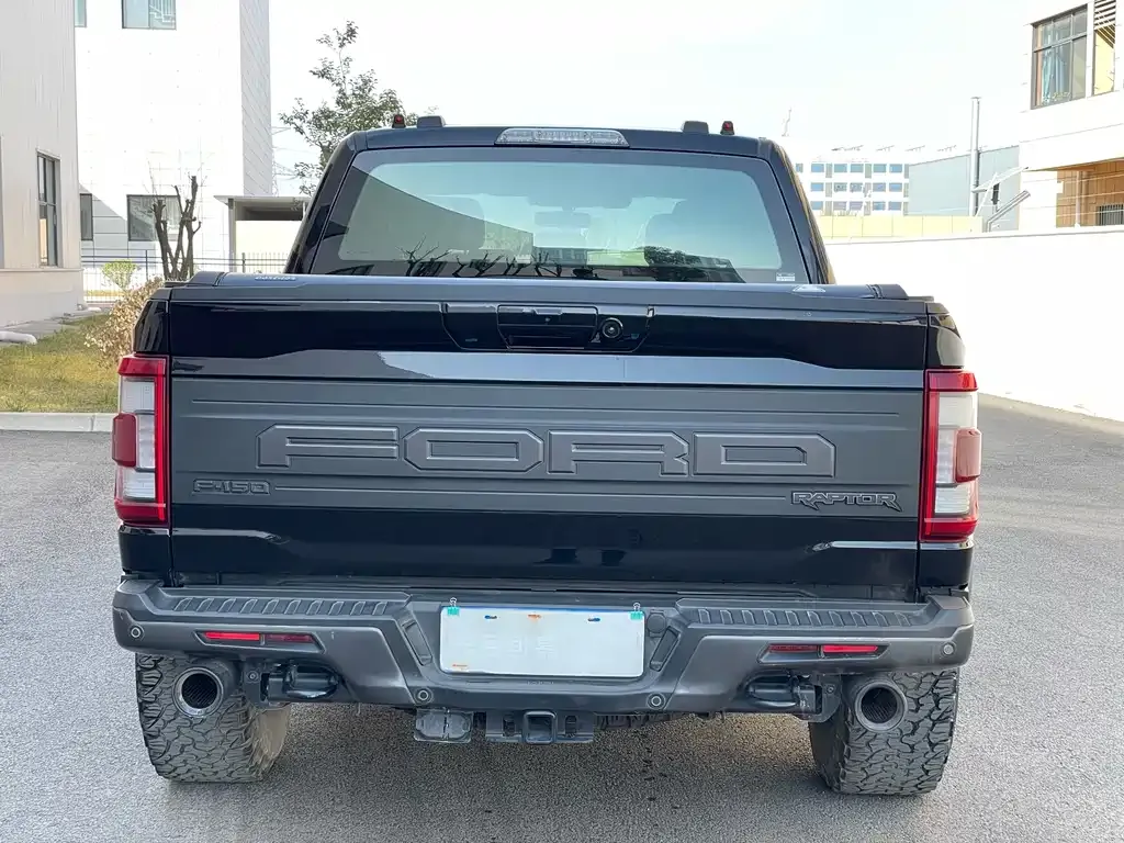 Ford F-150 Raptor 2024 из CN, фото 6