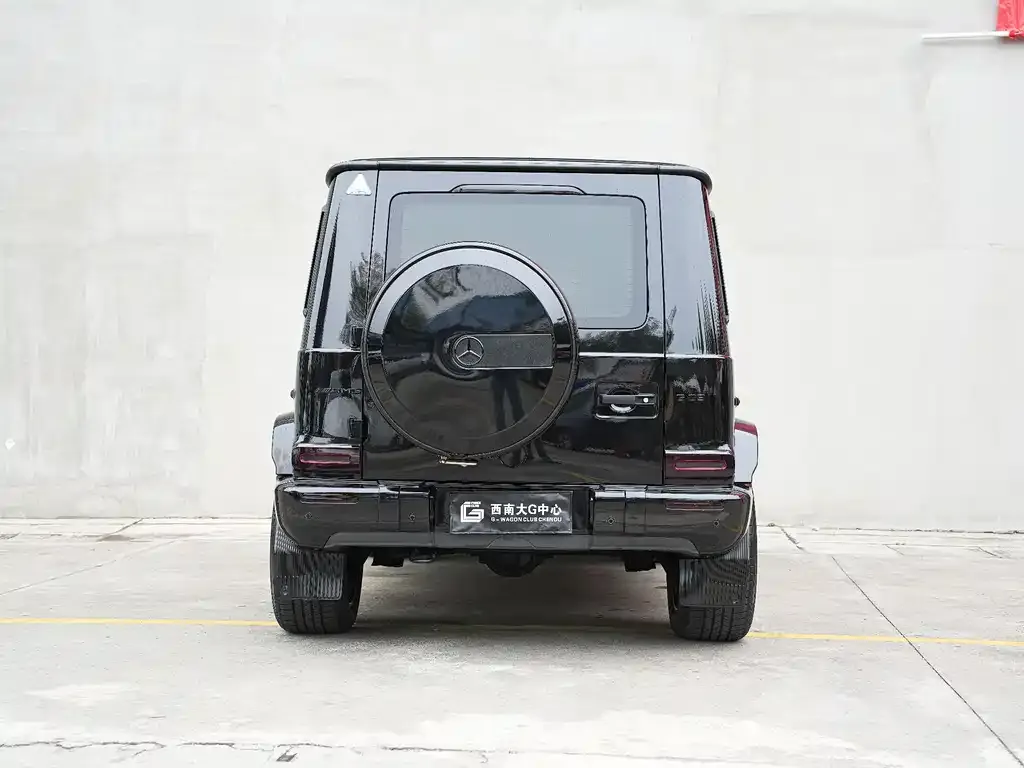 Mercedes-Benz G-Class 2021 из CN, фото 8