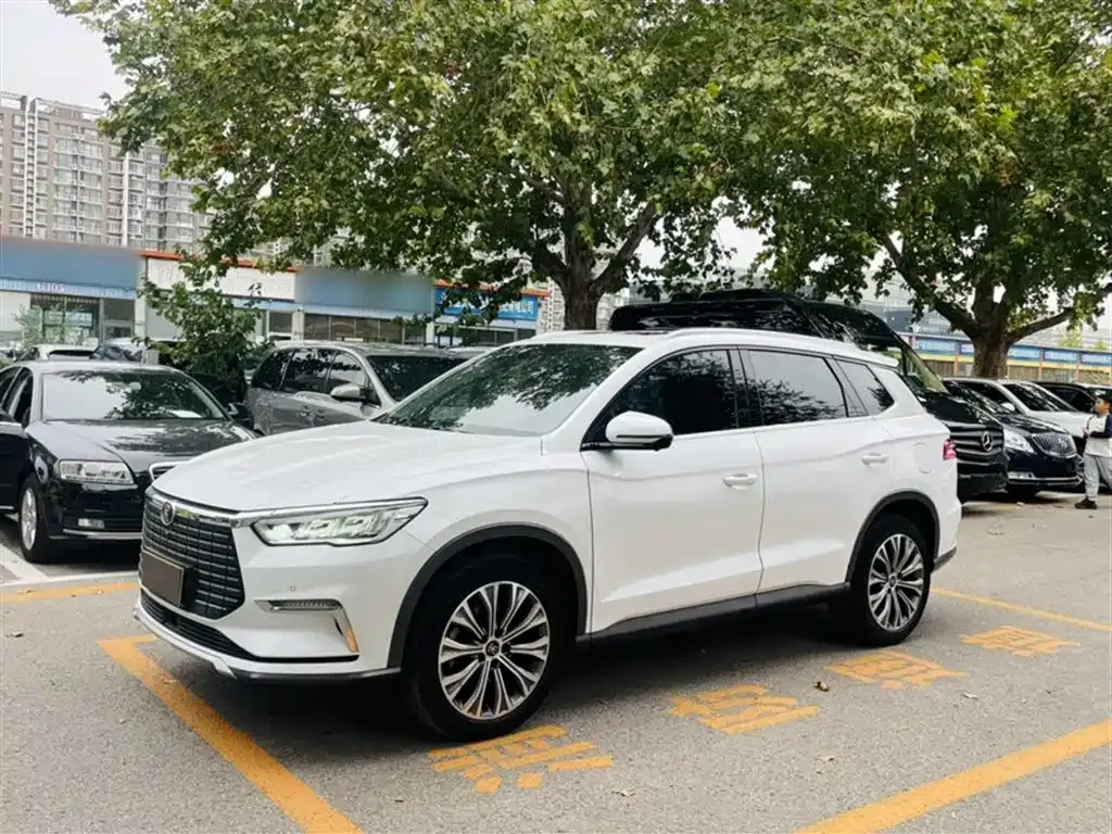BYD Pro New Energy — фото 1