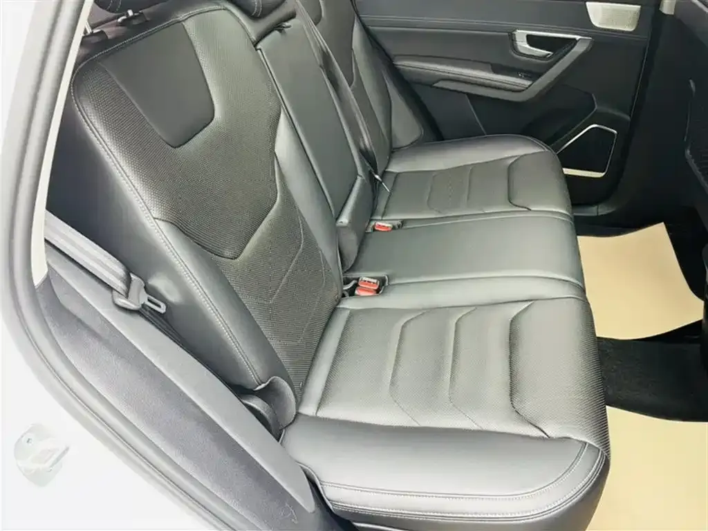 BYD Pro New Energy — фото 8