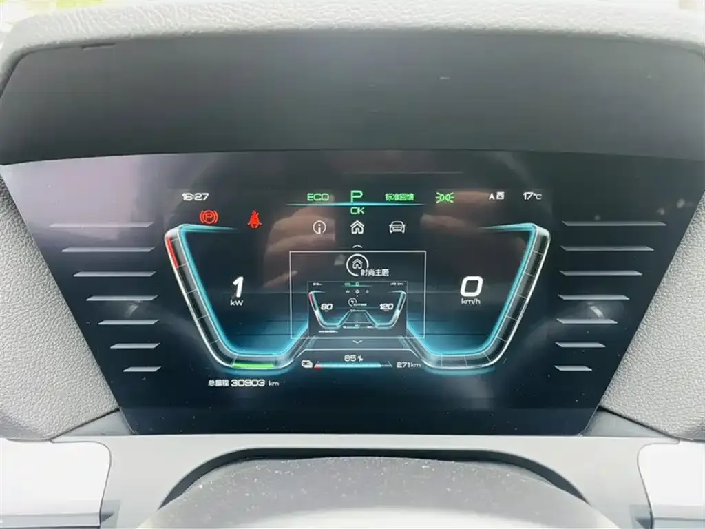 BYD Pro New Energy — фото 9