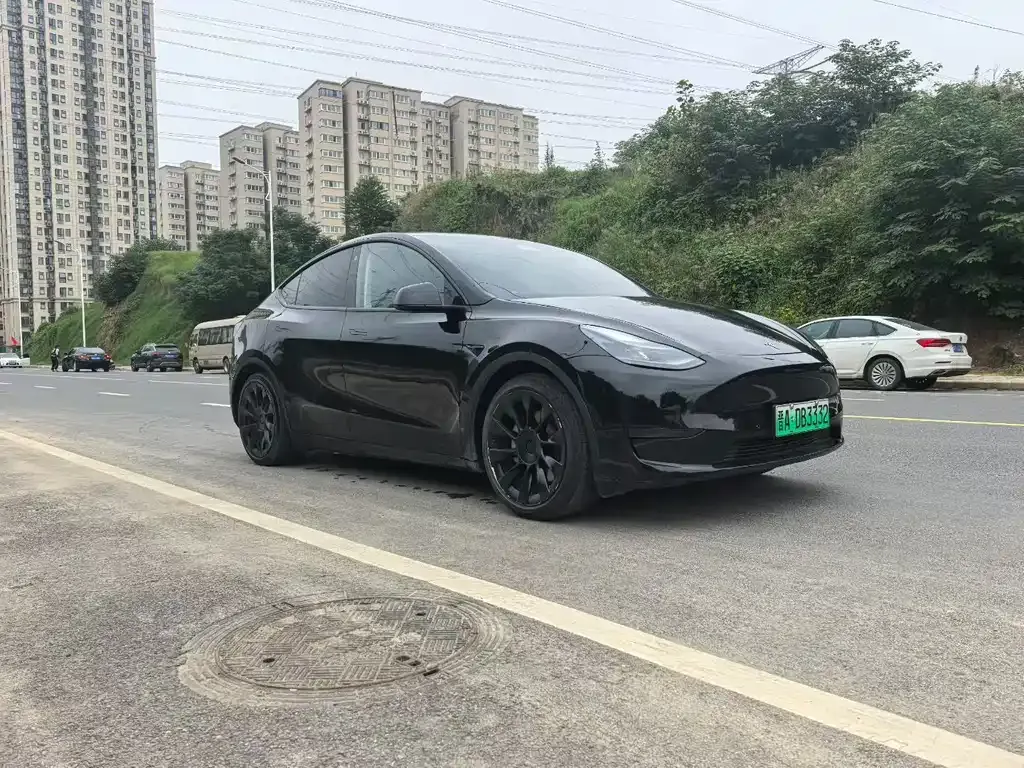 Tesla Model Y 2023 из CN, фото 2