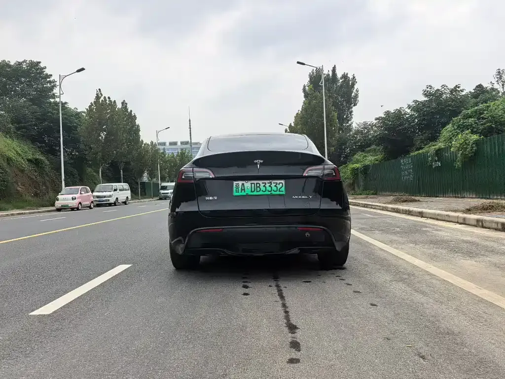 Tesla Model Y 2023 из CN, фото 8