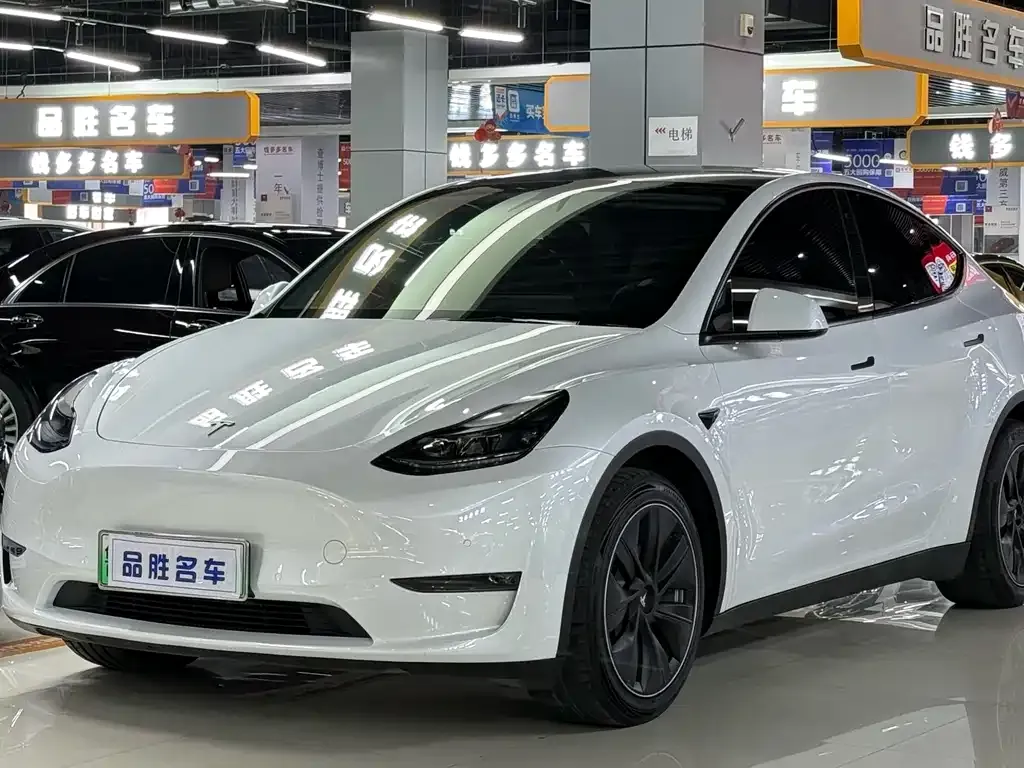 Tesla Model Y — фото 1