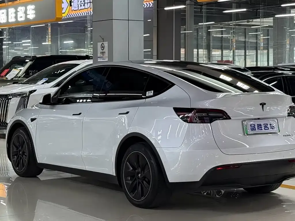 Tesla Model Y — фото 3