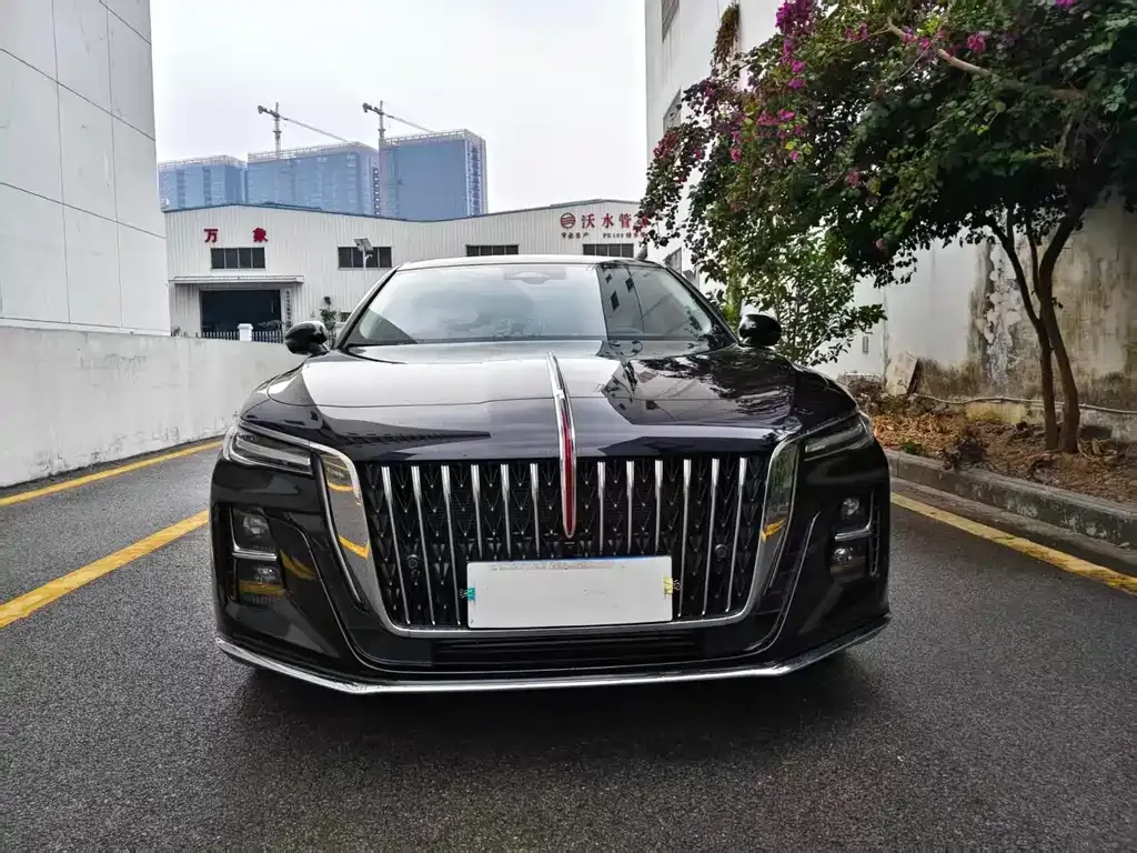 Hongqi H5 2023 из CN, фото 2